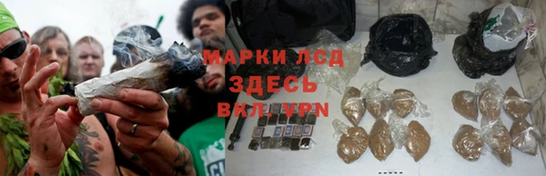 MDMA Premium VHQ Бородино