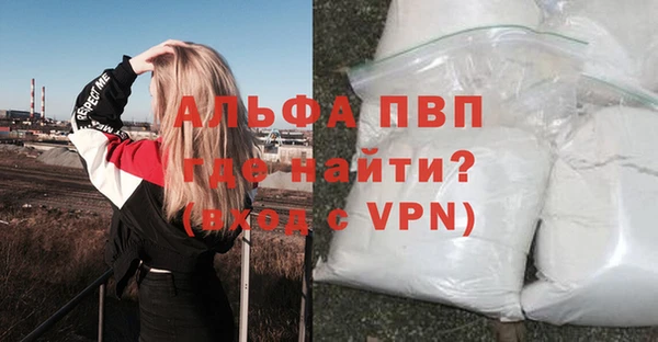 ПСИЛОЦИБИНОВЫЕ ГРИБЫ Верхний Тагил