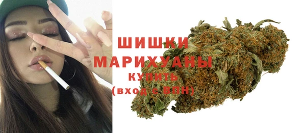 ПСИЛОЦИБИНОВЫЕ ГРИБЫ Верхний Тагил